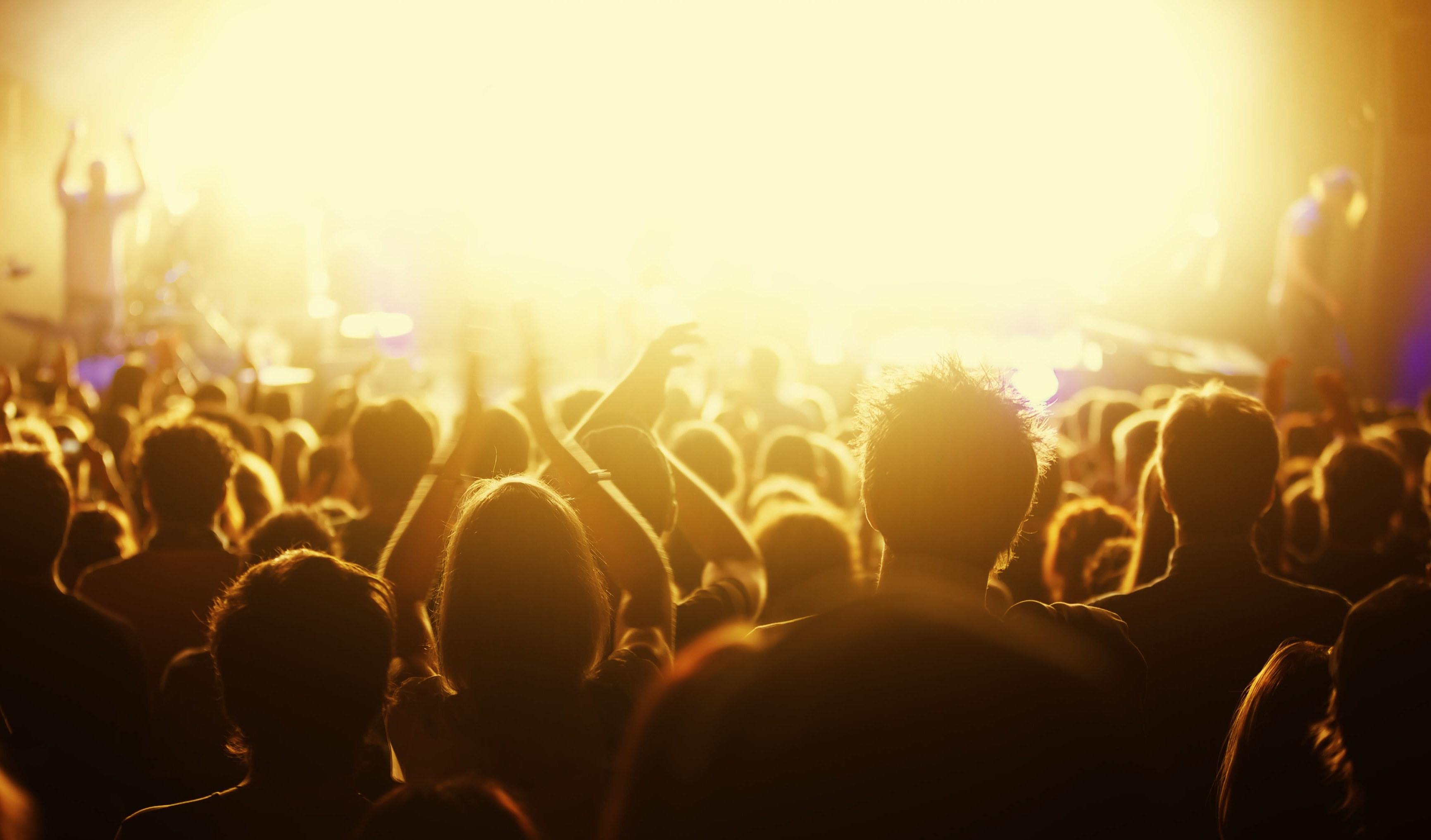 Crowd 2